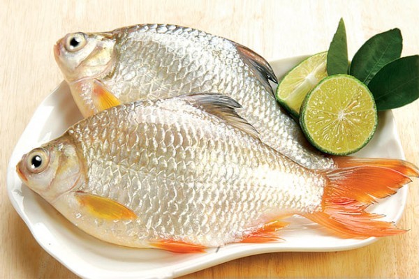 ca-sot-ca-chua-1-600x400-1 Cá - nguồn dinh dưỡng giàu Omega-3.