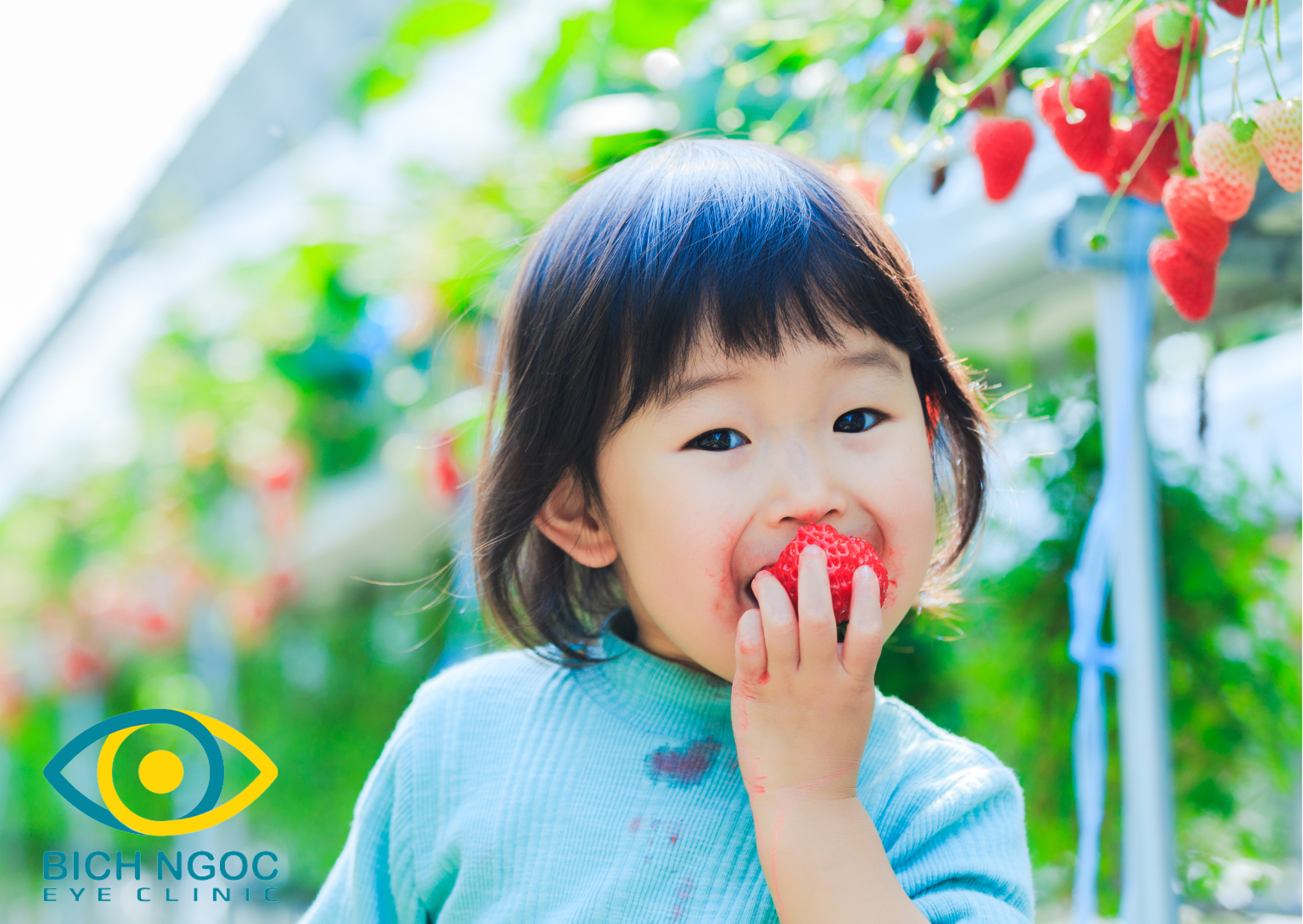 chăm sóc mắt khi mắc các bệnh về mắt